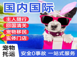 周水子航空托运国际宠物托运 【国